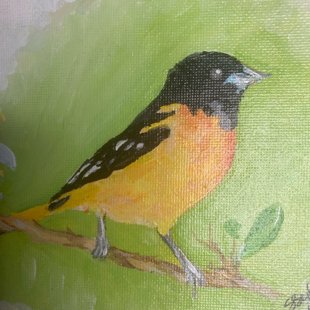 Meet your Posher, Sheena